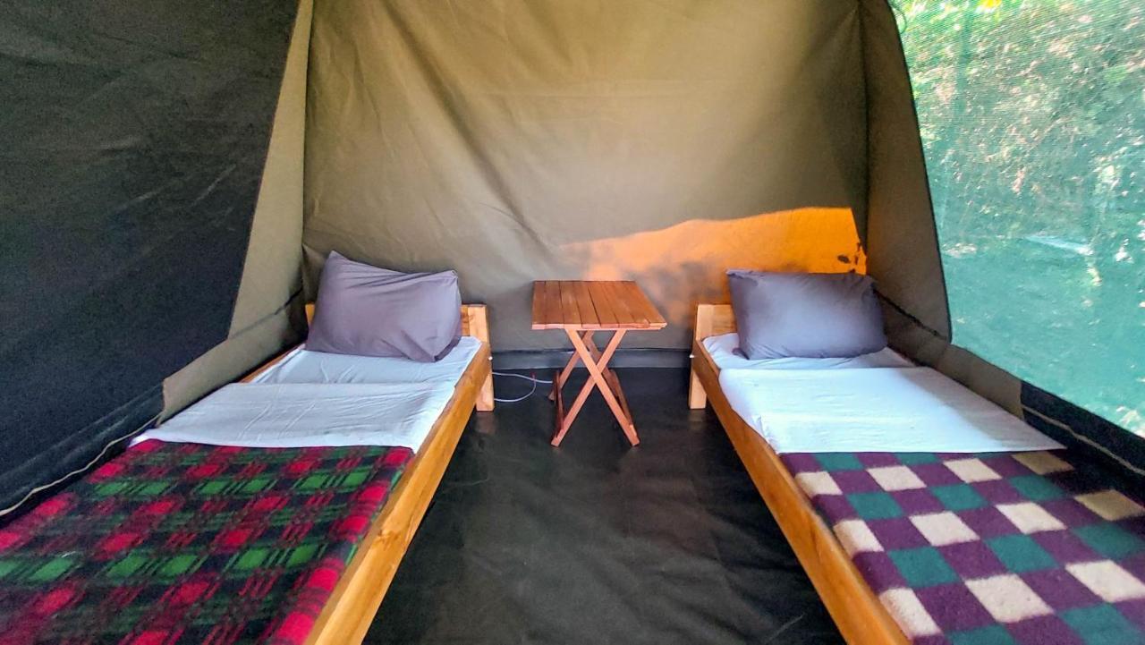 Greenwood Safari Camp Talek Kültér fotó