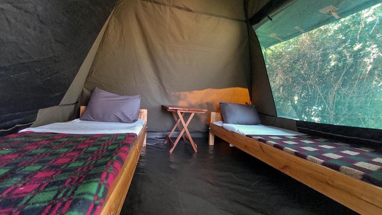 Greenwood Safari Camp Talek Kültér fotó