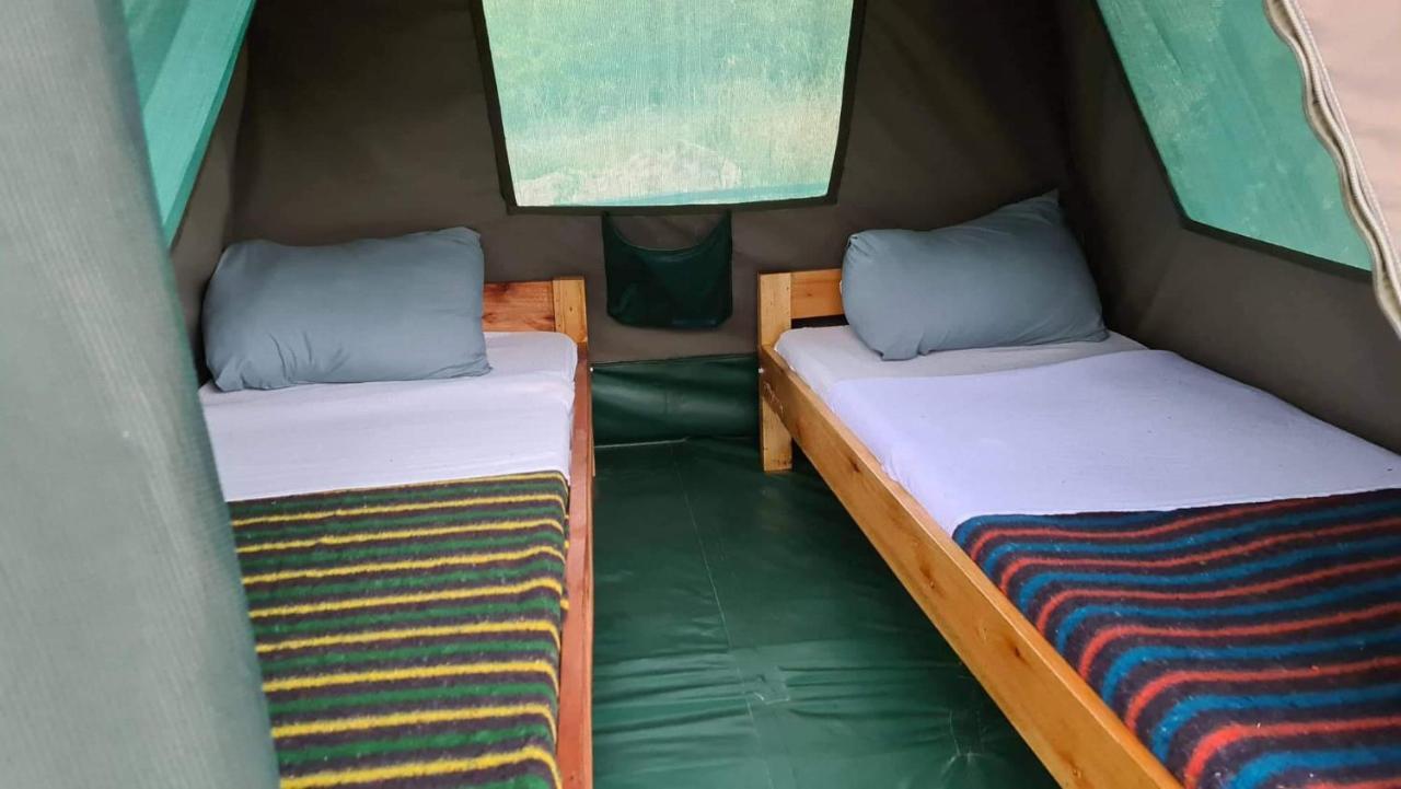 Greenwood Safari Camp Talek Kültér fotó